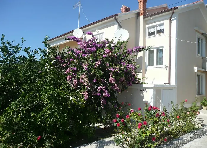 Apartment Dudic